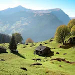 Lägenhet Baergbaechli By Interhome Grindelwald