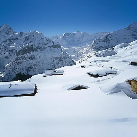 Lägenhet Baergbaechli By Interhome Grindelwald