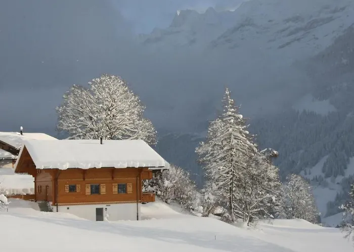 Apartment Baergbaechli By Interhome *