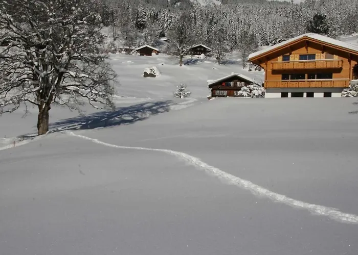 דירה Baergbaechli By Interhome