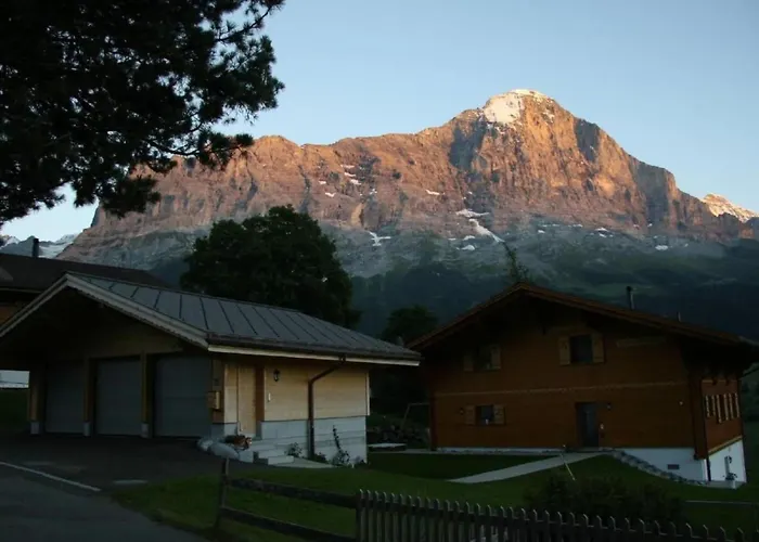 Apartamento Baergbaechli By Interhome Grindelwald