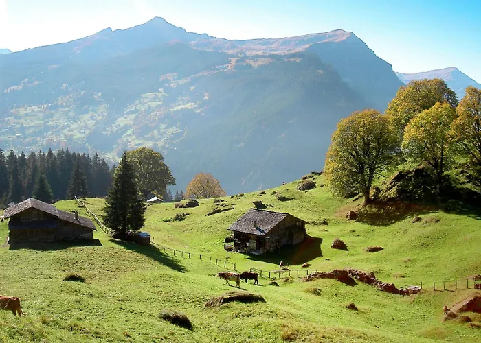 Apartamento Baergbaechli By Interhome Grindelwald